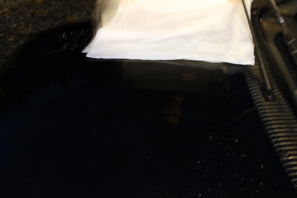 april2010209.jpg