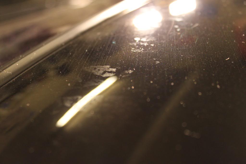 april2010235.jpg