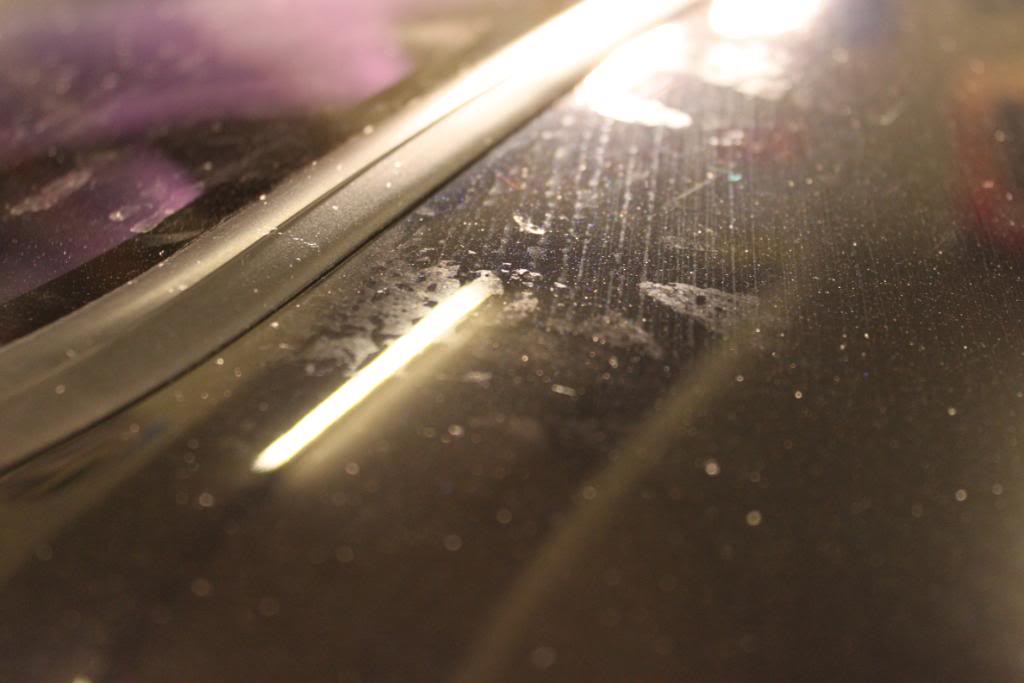 april2010236.jpg