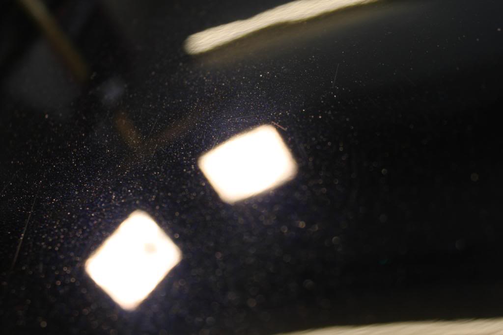 april2010257.jpg