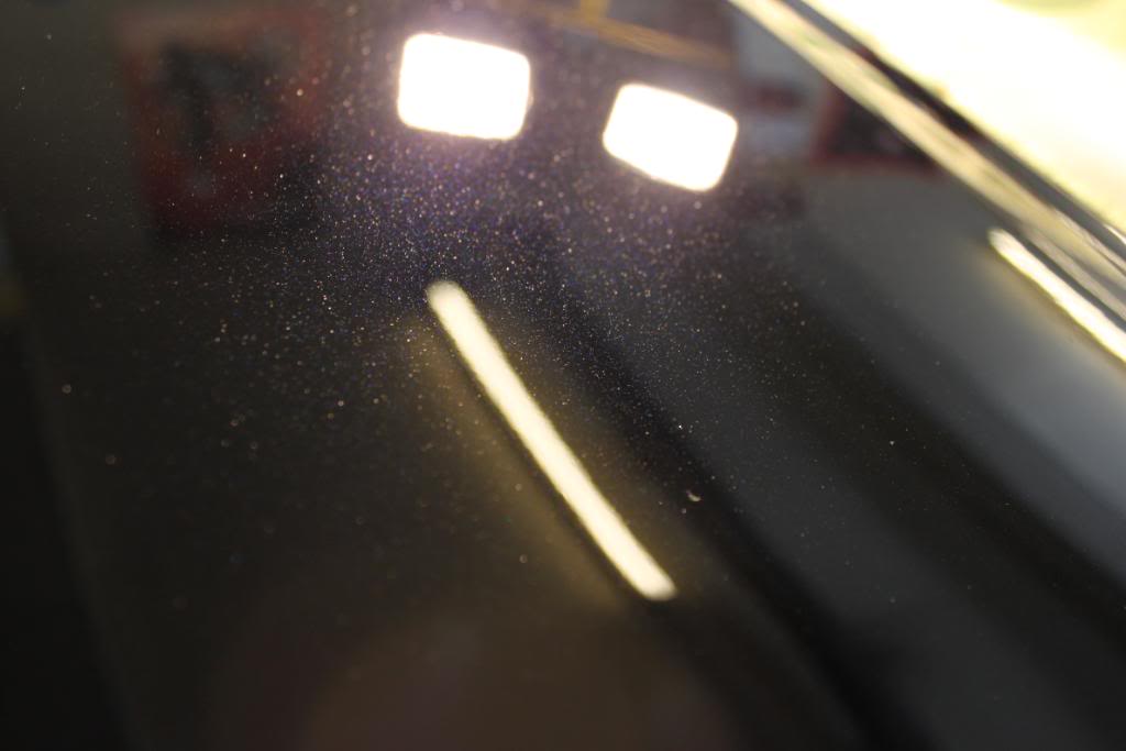 april2010272.jpg