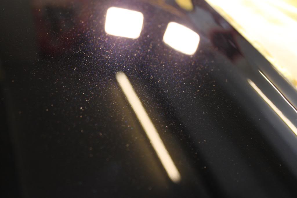 april2010273.jpg