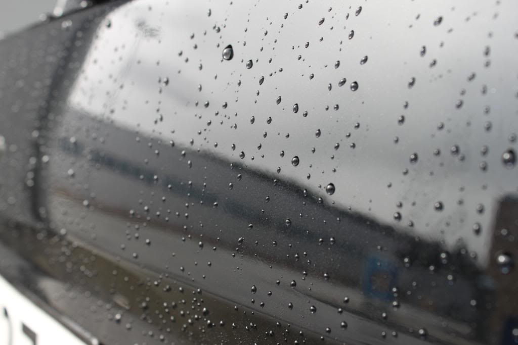 april2010506.jpg