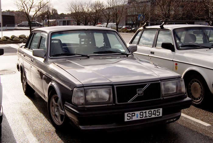 colli240.jpg