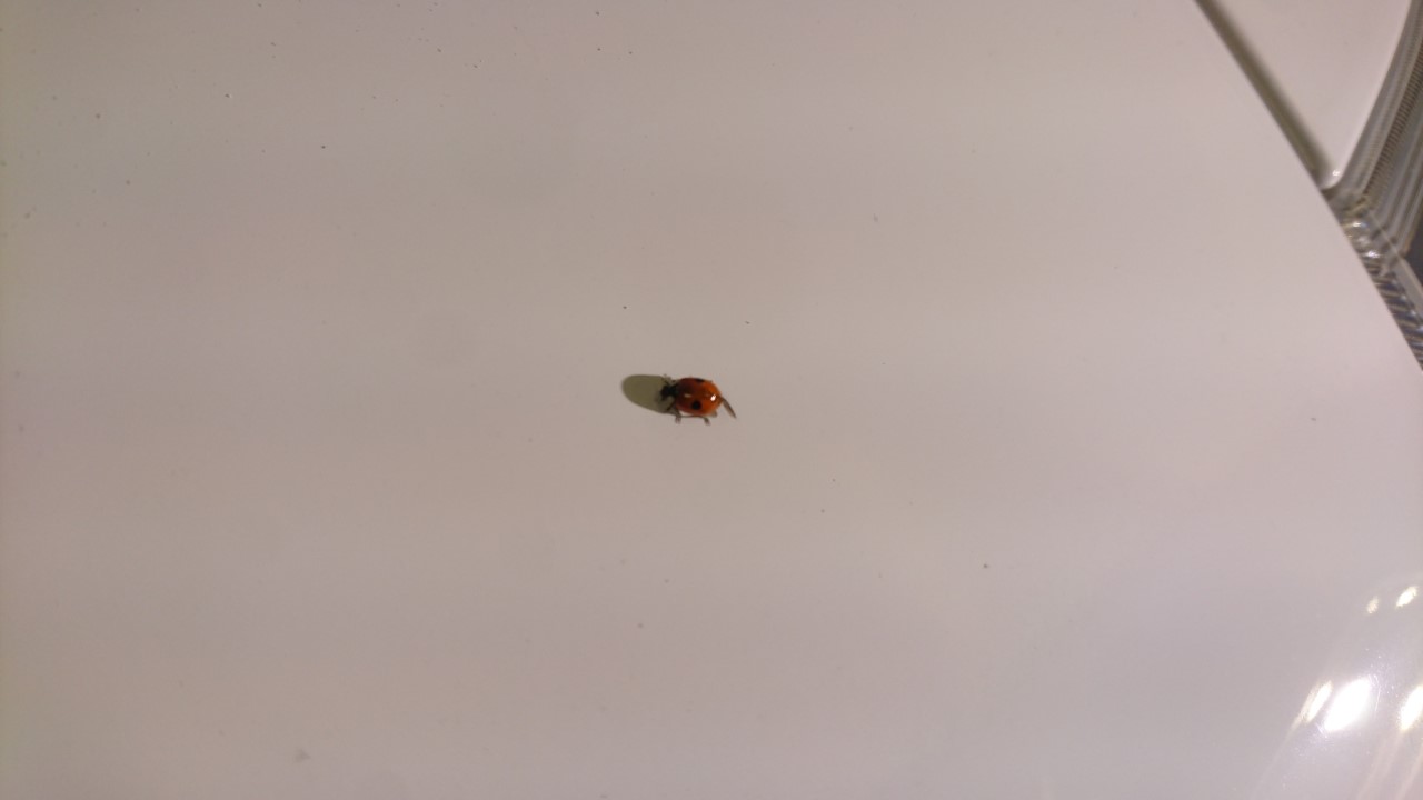 dsc_2853.jpg