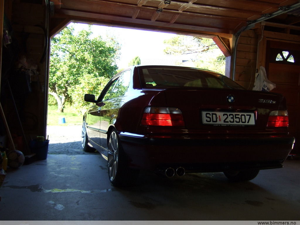etyp2c163ngrpilz272t.jpg