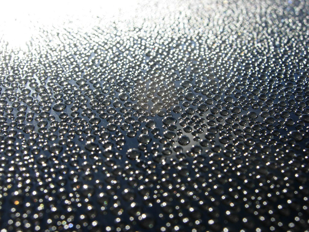 f998955e77375e36.jpg