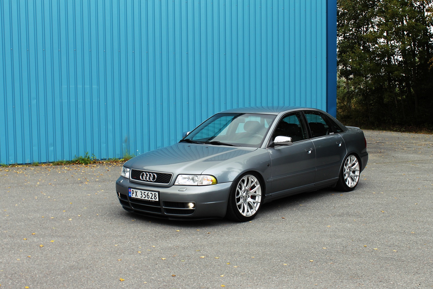 img1135sy.jpg