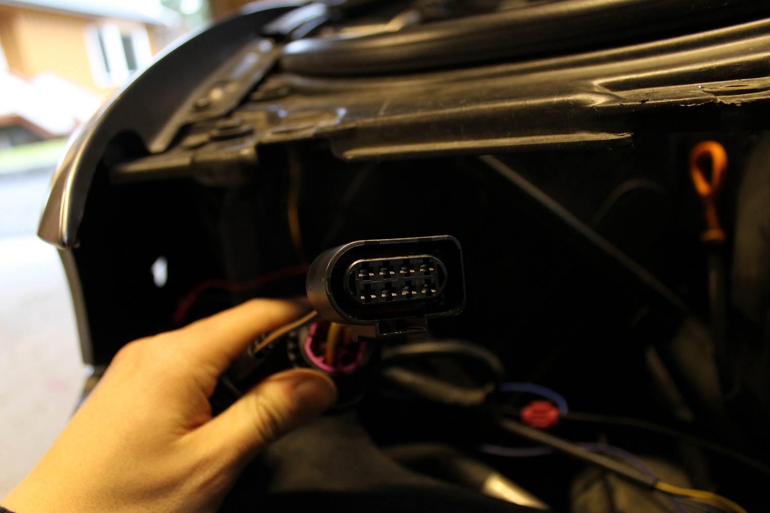 img1201hf.jpg