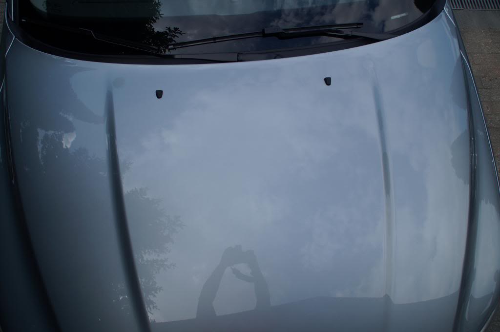 lsp44_zpsfd6067ec.jpg