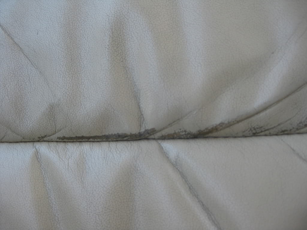 skinn-seter004.jpg