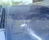 th_MOV00593.jpg