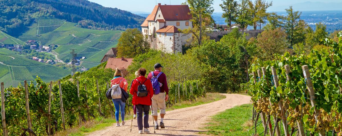 Tourismus in Baden-Württemberg im Corona-Jahr um 36 Prozent zurückgegangen.