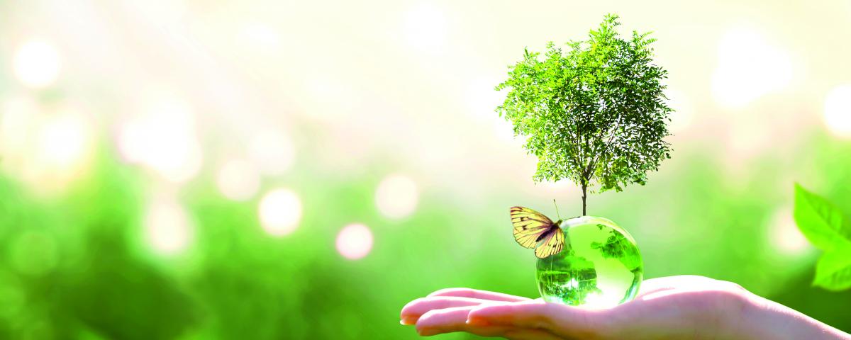 Klimaschutzgesetz und Statusbericht Kommunaler Umweltschutz
