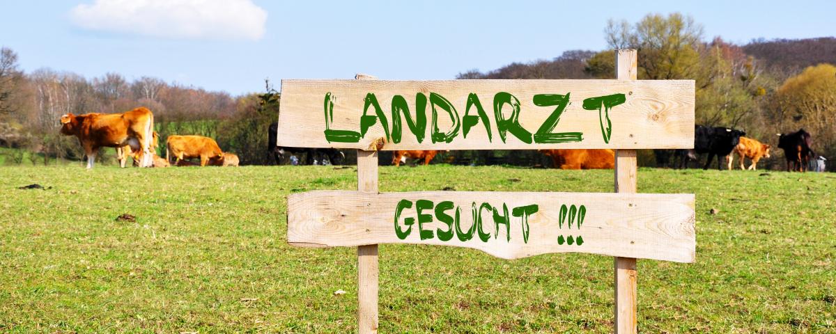 Ein neues Konzept soll den Landarzt zurück ins Dorf bringen.
