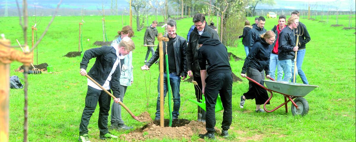 Baumpflanzaktion in Freiberg am Neckar