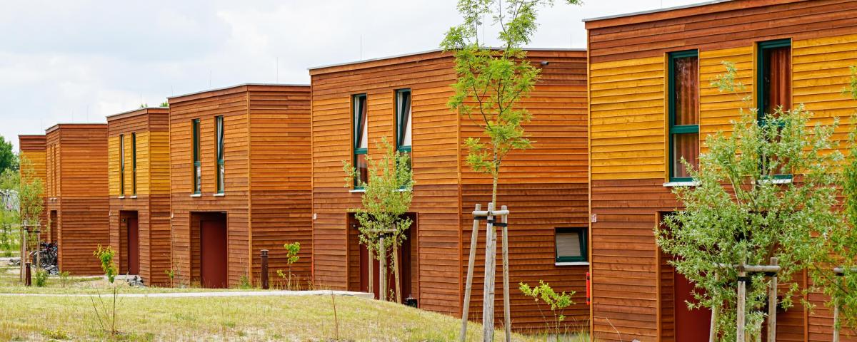Die Holzbau-Offensive BW soll 2022 noch stärker über ihre Internetplattform und Veranstaltungen zum Holzbau informieren