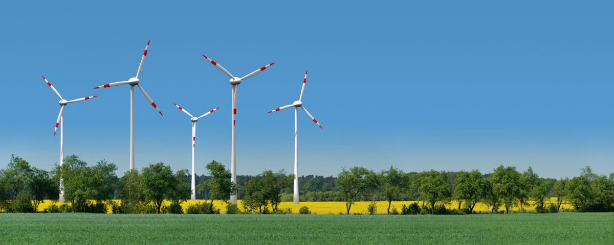 Erneuerbare Energien in Baden-Württemberg - Ausbau von Windkraft und Solarenergie 2022 nicht schnell genug
