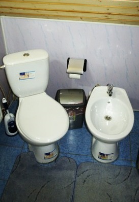 Дом посуточно в Полянице, с. Поляница, 11