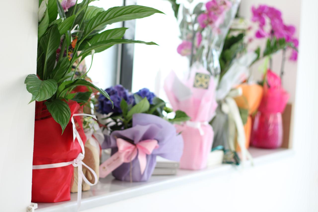 Εσωτερικός χώρος Evi Dent-Care Athens