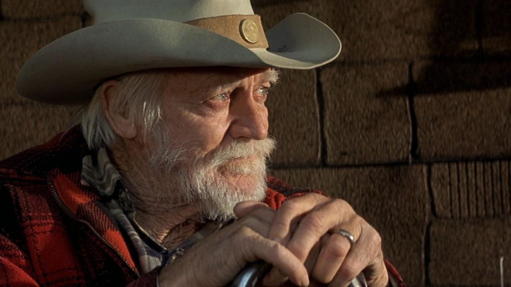 The Straight Story، David Lynch، ديفيد لينش