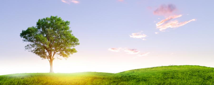 Klimaaktive Kommune Wettbewerb