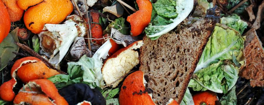 Verschiedene Start-Ups sagen Lebensmittelverschwendung den Kampf an.