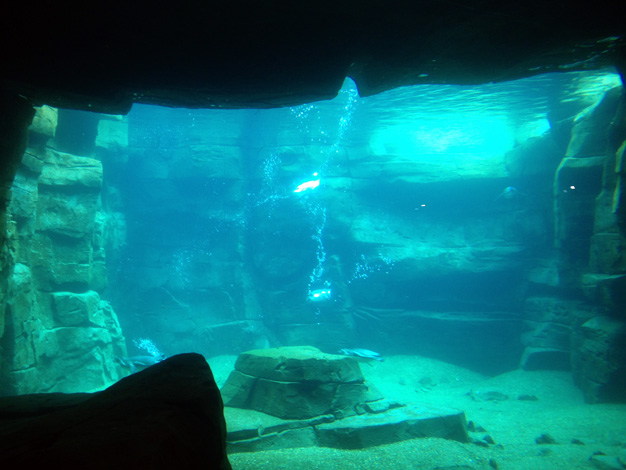 Tierpark Hagenbeck Eismeer 1