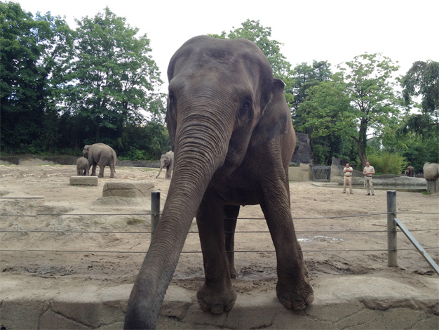 Tierpark Hagenbeck 2