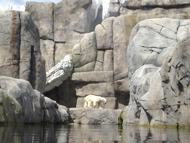 Tierpark Hagenbeck Eismeer 3
