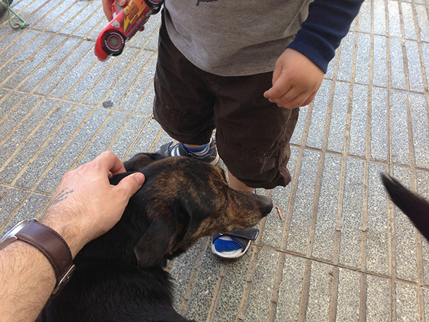 mallorca_13