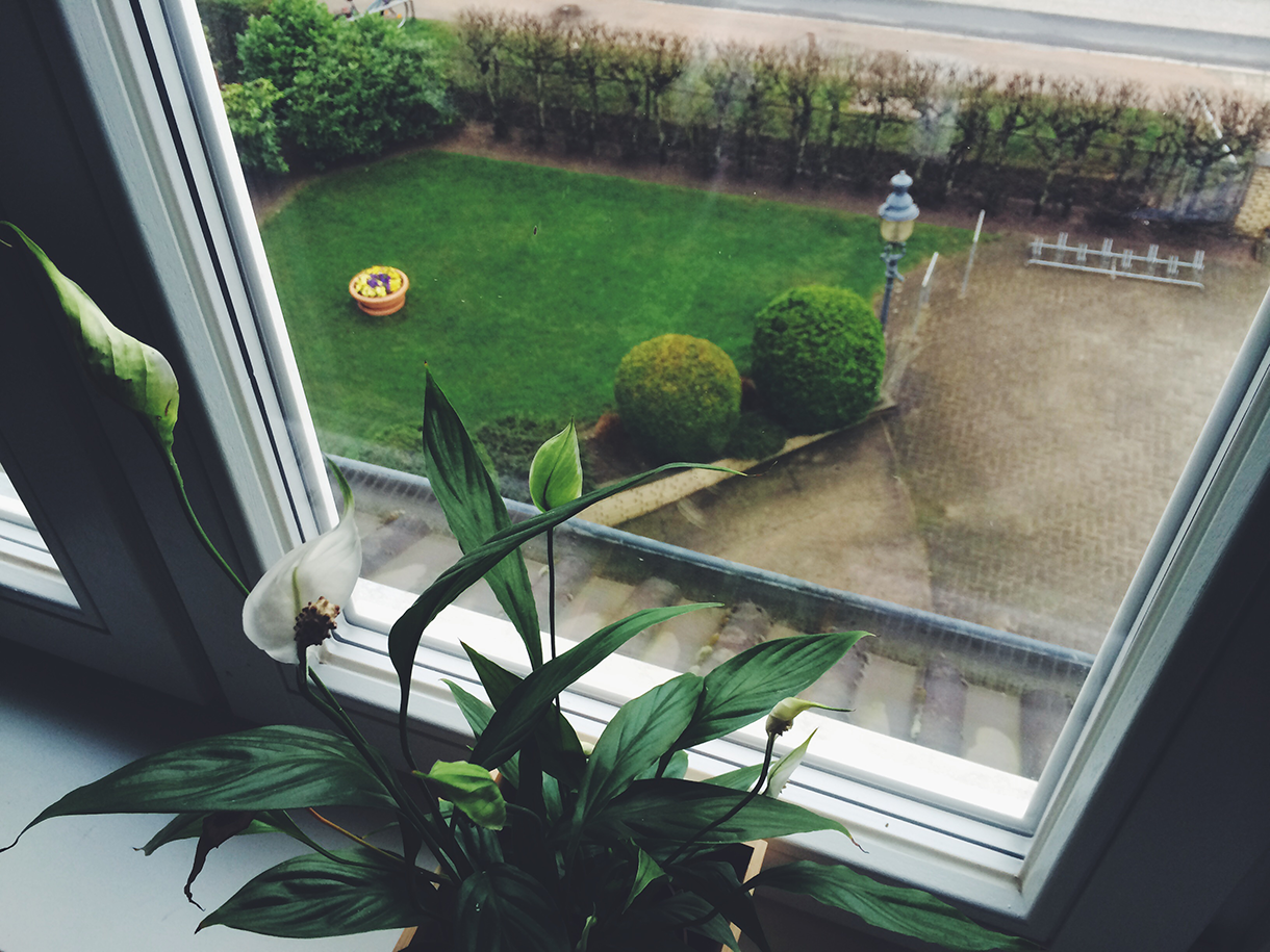 wohnung_7