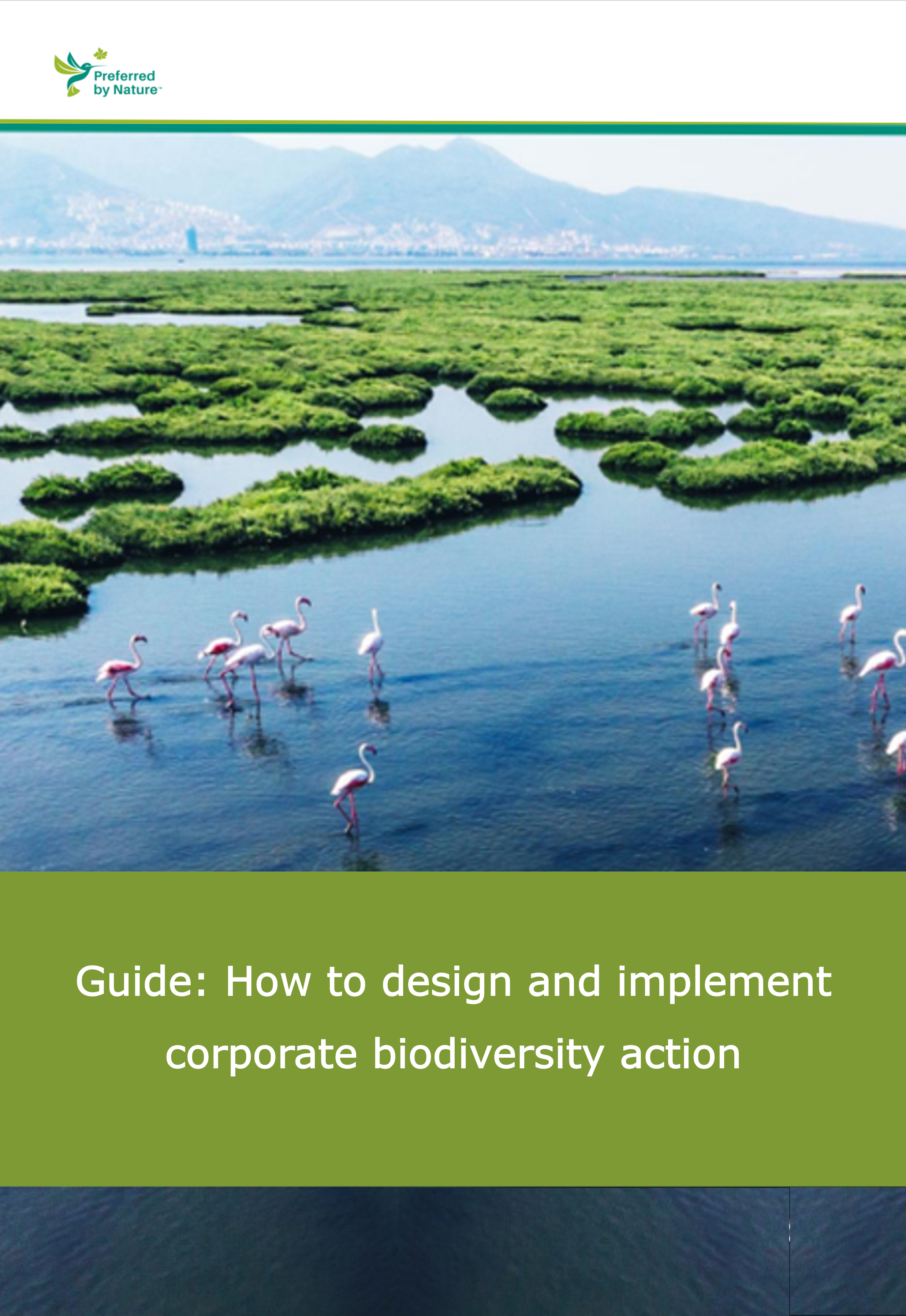 Guide: How to design and implement corporate biodiversity action