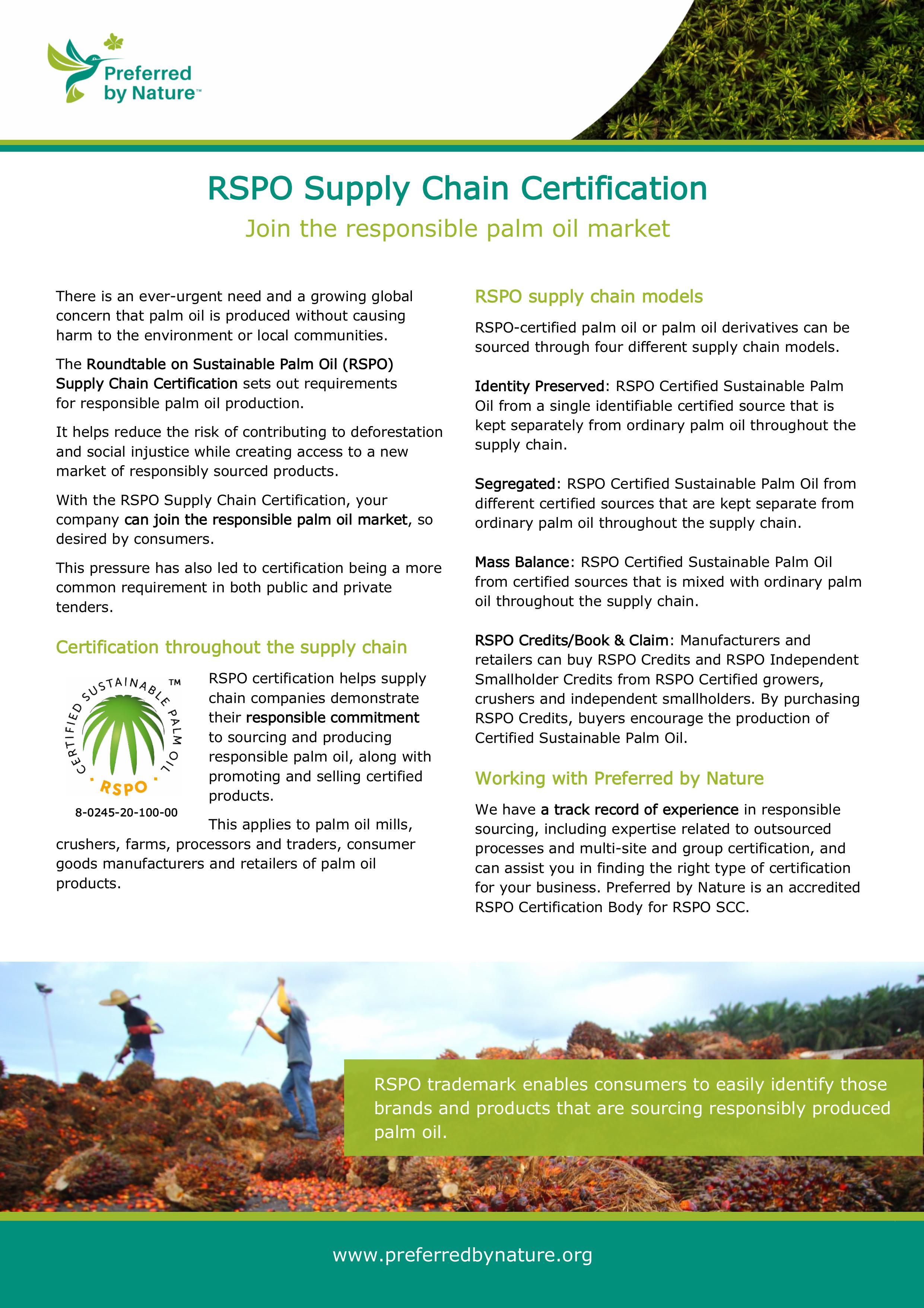 RSPO Supply Chain Info sheet 15Nov24 ENG