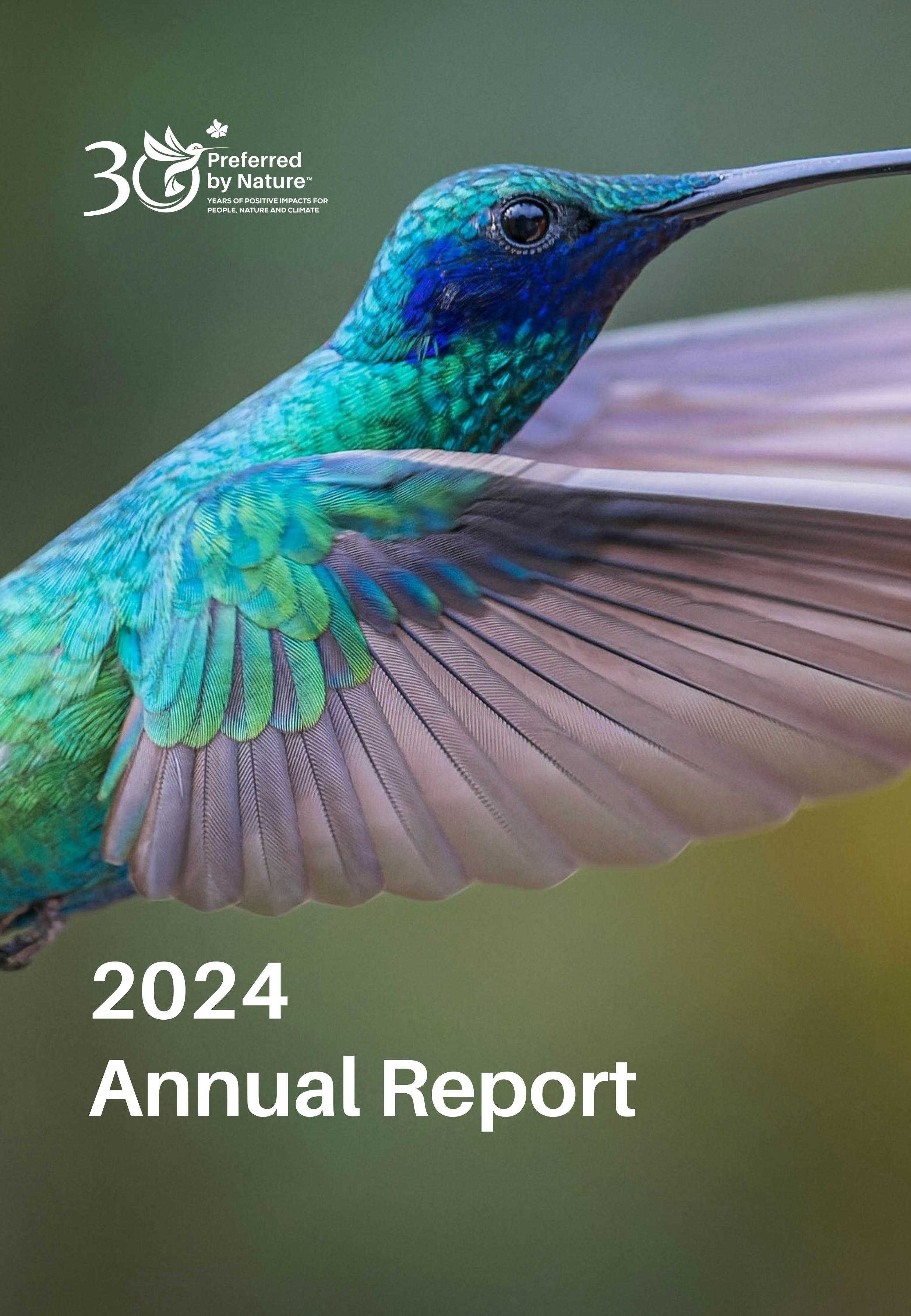 Annual report-2024.png