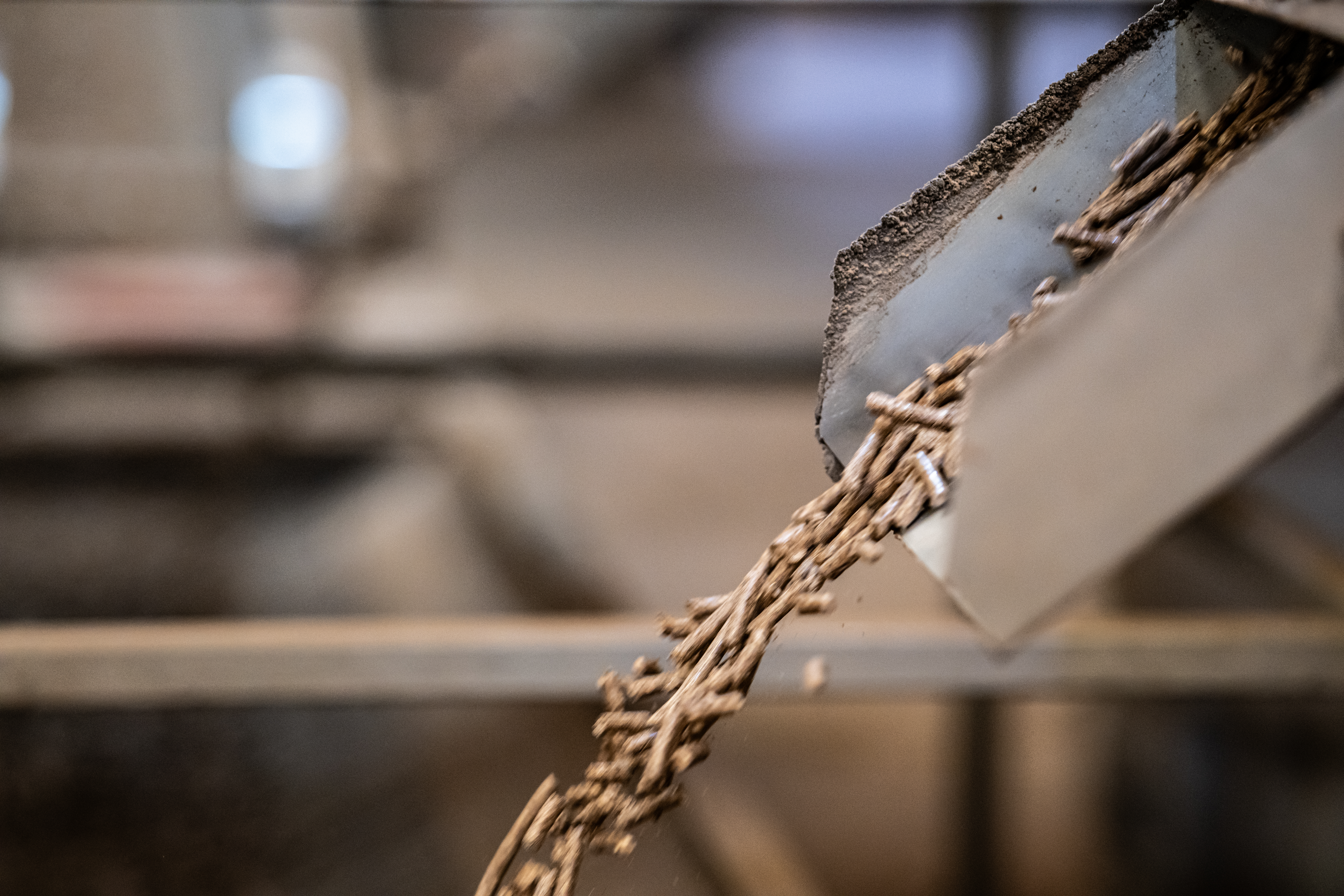 Photo courtesy of PT Parawood