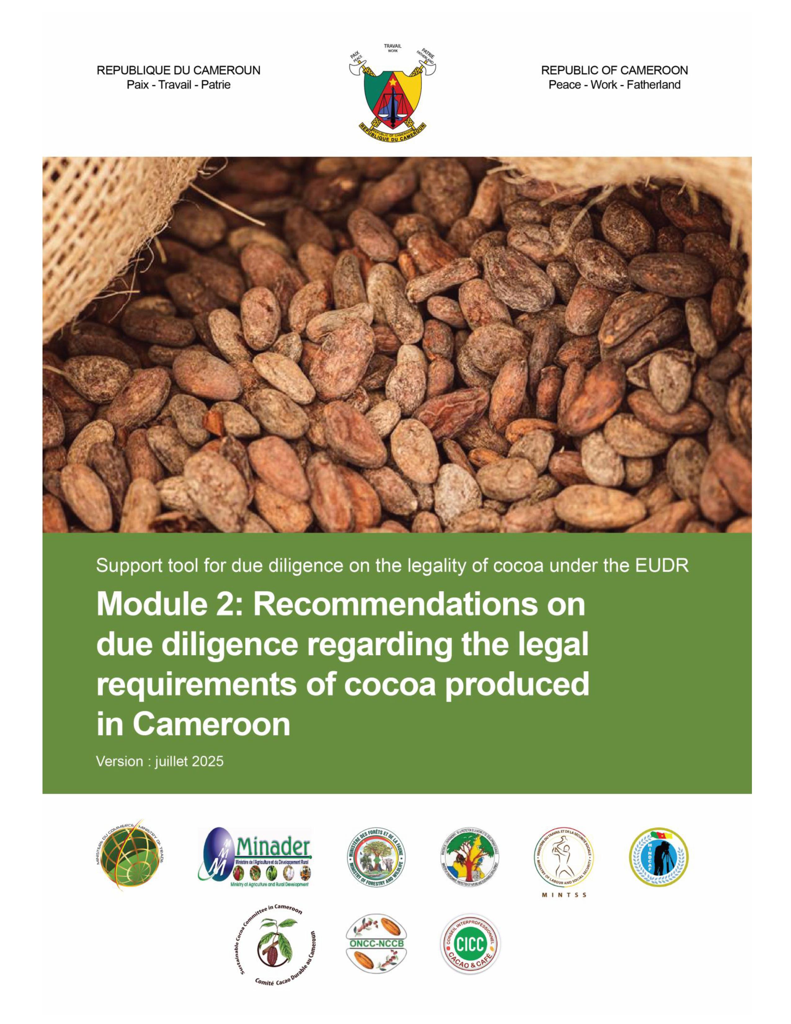 EFI_TAMI_PbN_Due Diligence cocoa CAM_2025