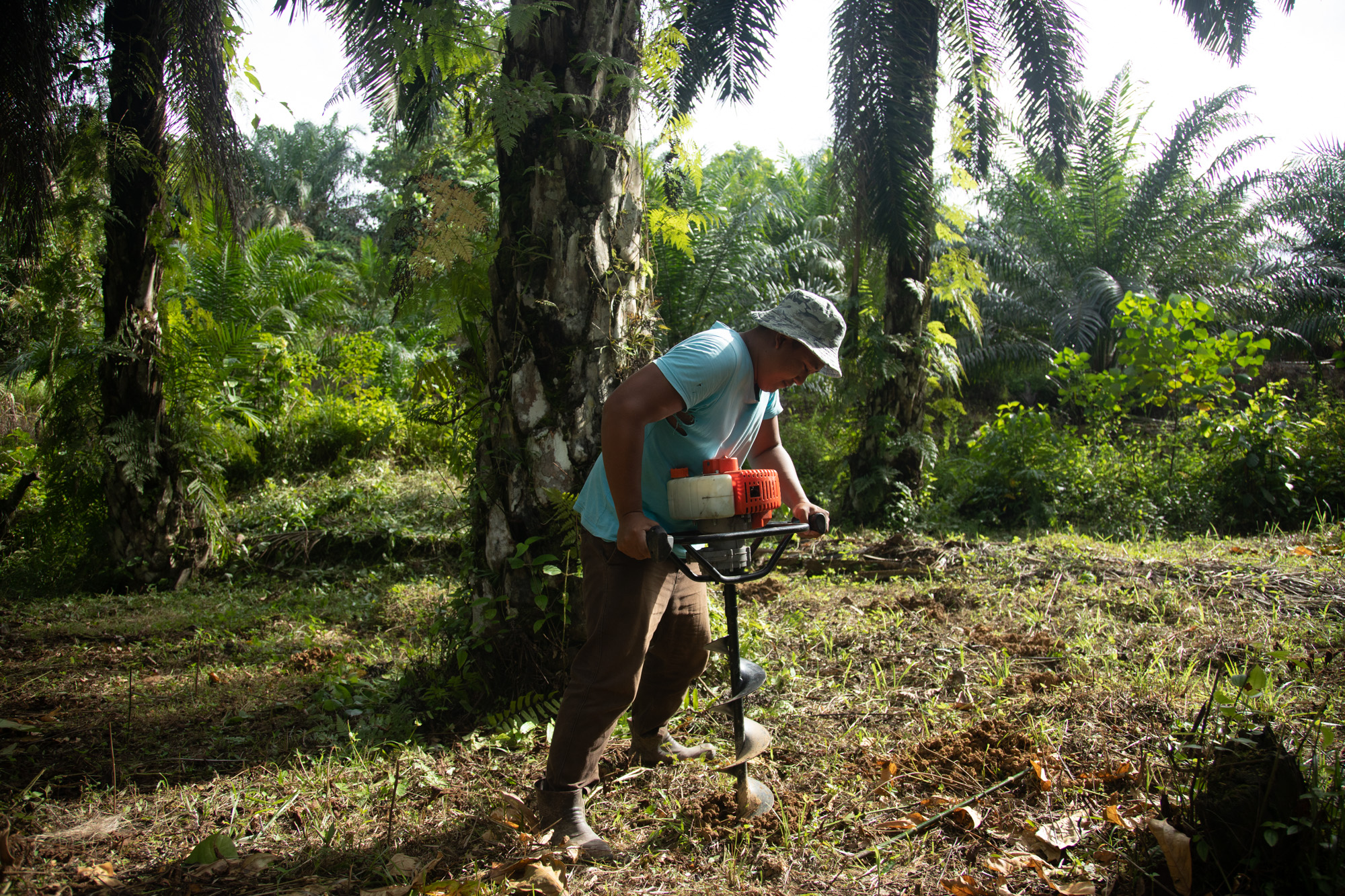 palm oil worker