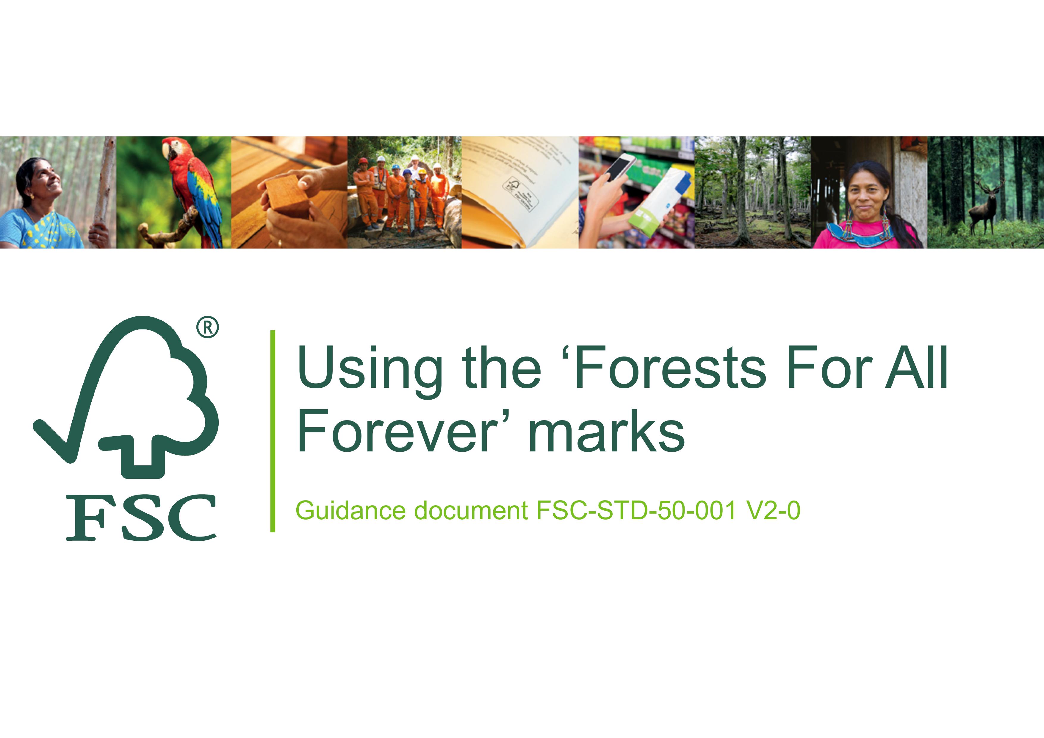 使用FFAF标志的FSC指导文件