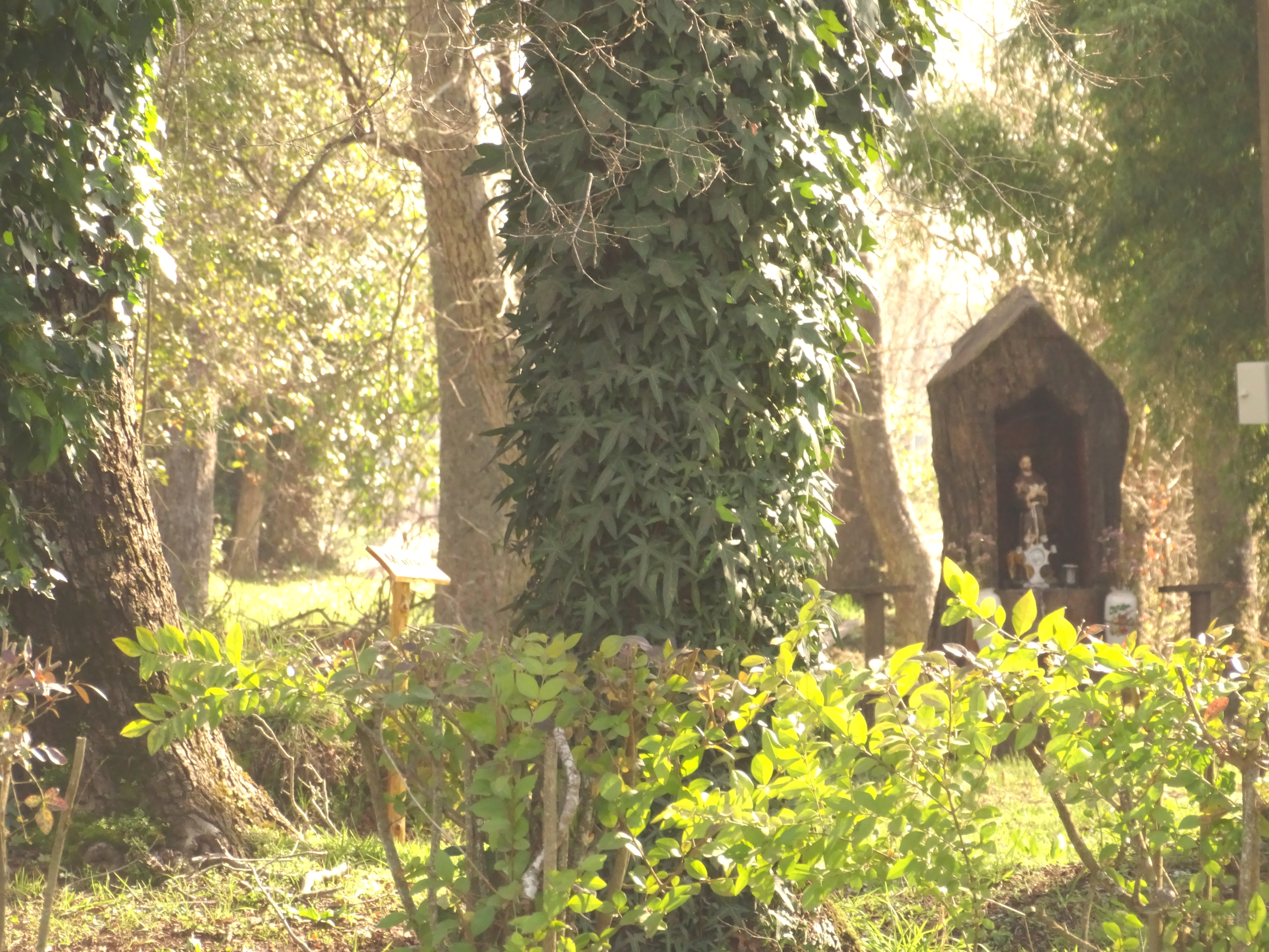 Photo courtesy of El Álamo y Compañía Chilena de Fósforos