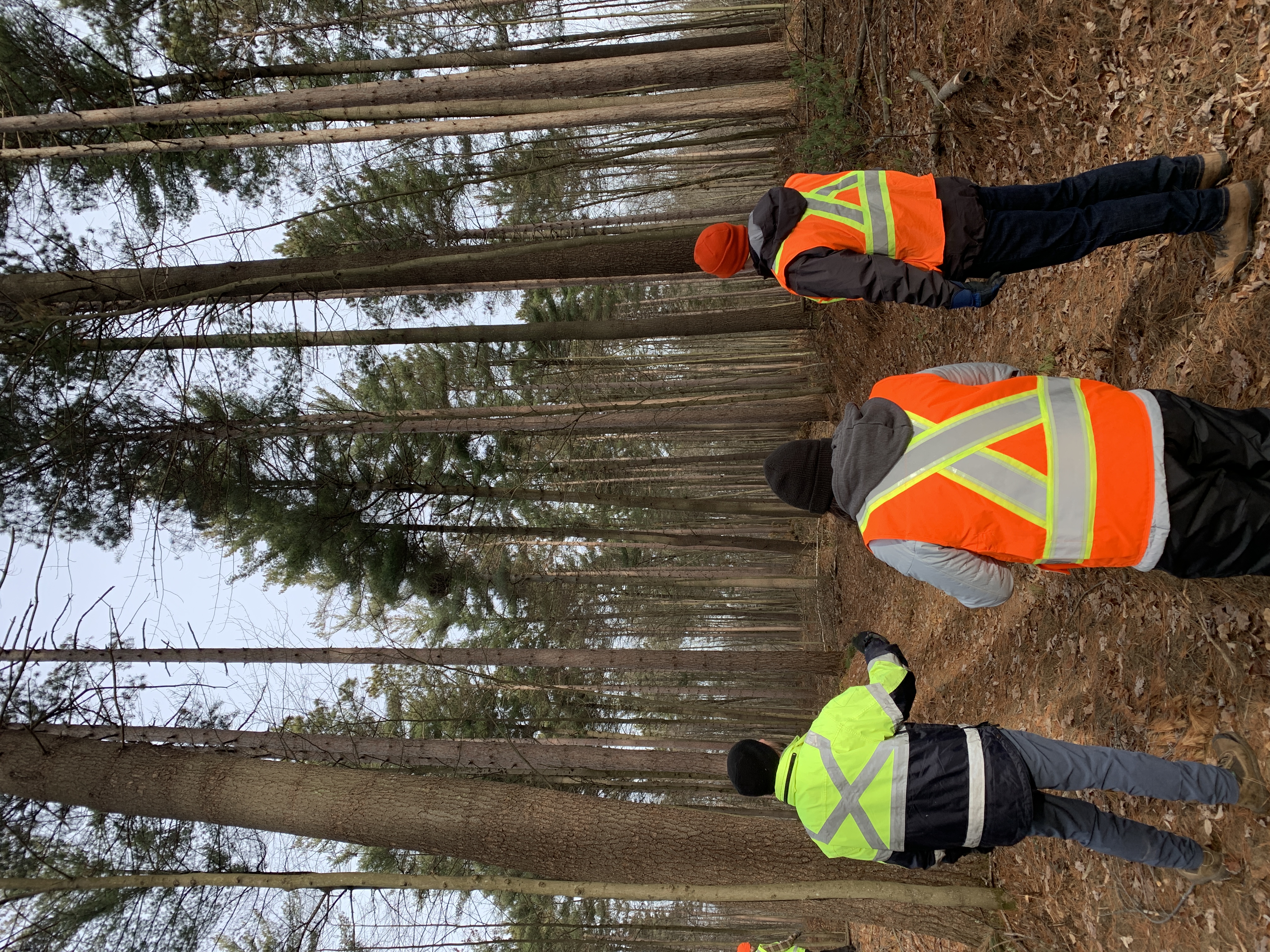 Photo courtesy: EOMF