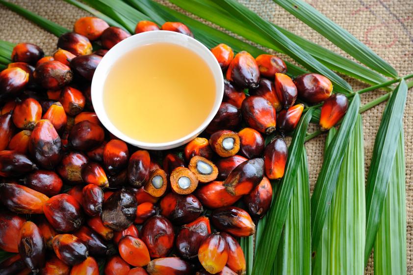 palm oil