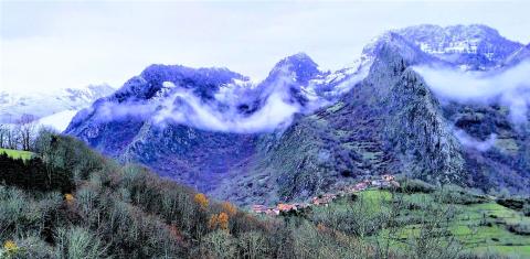 Certified Asturian forests preserve watershed and the native brown bear habitat