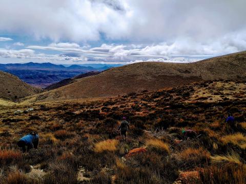 AlVelAl project in Spain becomes the first restoration effort to be verified against Forest Ecosystem Restoration Standard 