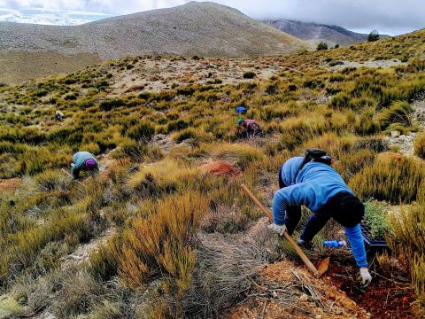 New ‘Gold Standard’ for Ecosystem Restoration