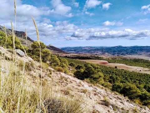 Una restauración de ecosistemas efectiva necesita de monitoreo y evaluación