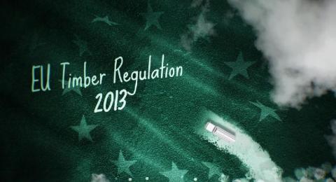 Lancement réussi : vidéos de formation sur des éléments clés du règlement sur le bois de l’UE