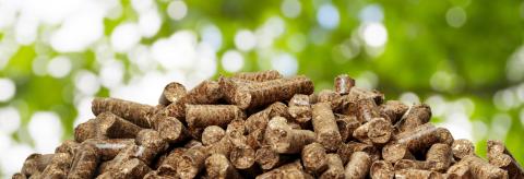 Fact check: Where does biomass come from?
