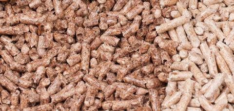 Gobernanza con múltiples actores, una buena práctica 