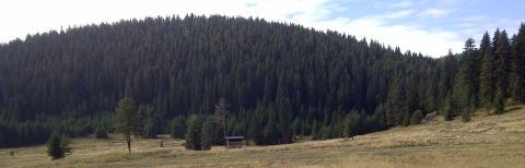 Rhett Butler: using the power of words to transform forestry